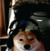 wavqa